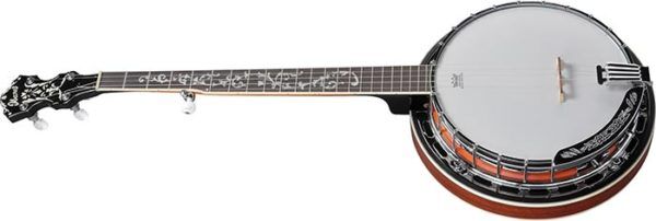 Ibanez B200 5-string Banjo