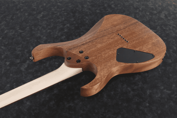Ibanez RG421 Mahogany Oil Electric Guitar - Image 2