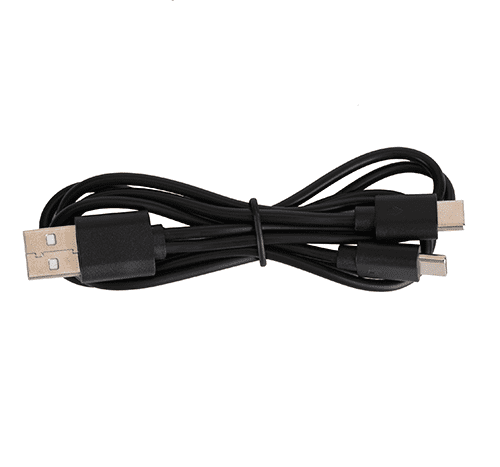 Dual USB cable