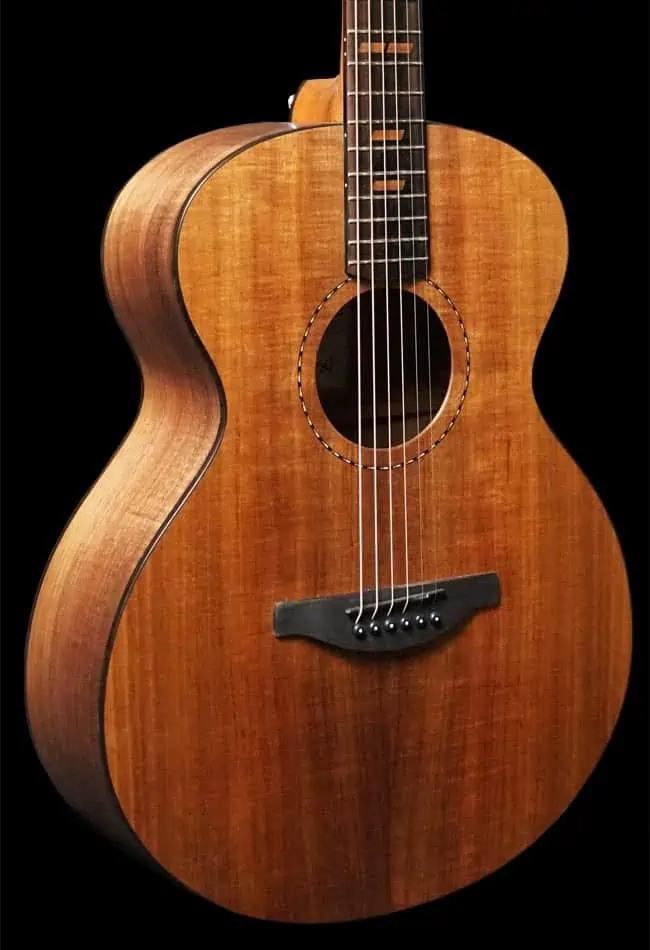 AA Solid Timbers of the Fenech VTH Series Acoustic Guitars