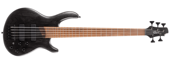 B5 Element 5-String Bass Trans Black