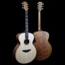 Fenech VT-Pro Professional Series Grand Auditorium Blackwood Acoustic