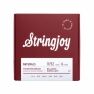 stringjoy naturals acoustic guitar string set sj-nb1152 balanced super light