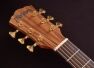 Washburn SC56S Bella Tono Acoustic/Electric Headstock