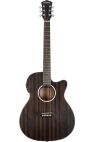 Washburn Deep Forest Ebony ACE Acoustic Electric Guitar