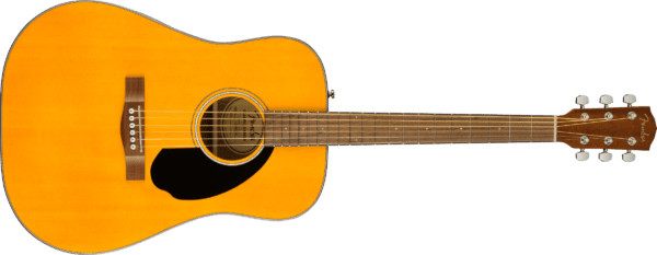 Fender CD-60S Exotic FSR Limited Edition Dreadnought Aged Natural