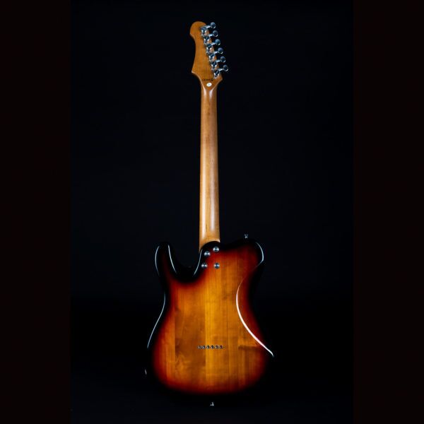 JET JT-350 Tele Style Electric Guitar Rear