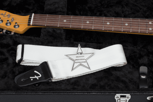 Fender Chrissie Hynde Telecaster - Image 8