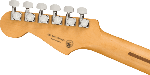 Fender Player Plus Stratocaster - Image 11