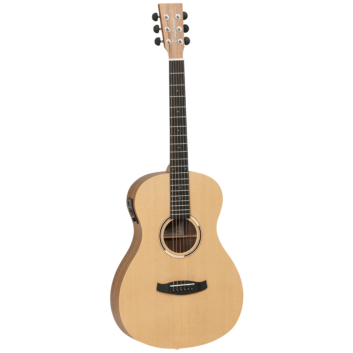 Tanglewood Discovery Exotic Hawaiian Rainwood Acoustic Guitars - Image 3
