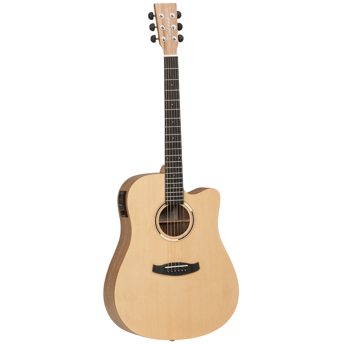 Tanglewood Discovery Exotic Hawaiian Rainwood Acoustic Guitars - Image 2