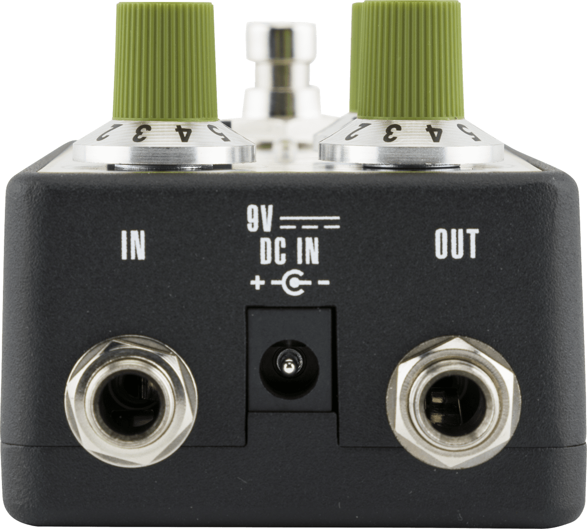 Fender Bassman Reverb