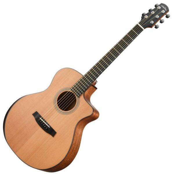 Walden Supernatura G2070RCE Acoustic Electric Guitar