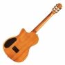 Cordoba stage fusion electric nylon string back