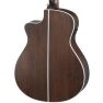 Walden G803CE Acoustic Electric GA Cutaway Guitar back