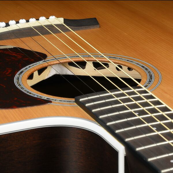 Walden G803CE Low-mass bracing soundhole view