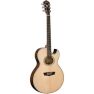 Washburn Festival EA20S Nuno Bettencourt Acoustic Electric Thinline Guitar