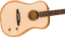 Fender Highway Series Acoustic Dreadnought Guitar