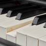 yamaha p-515 keys